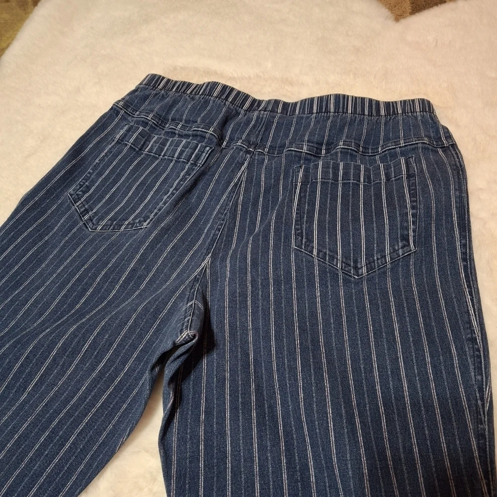 MetroStyle Blue & White Pinstripe Pull-On Comfy Cotton Pants  Women Size Large